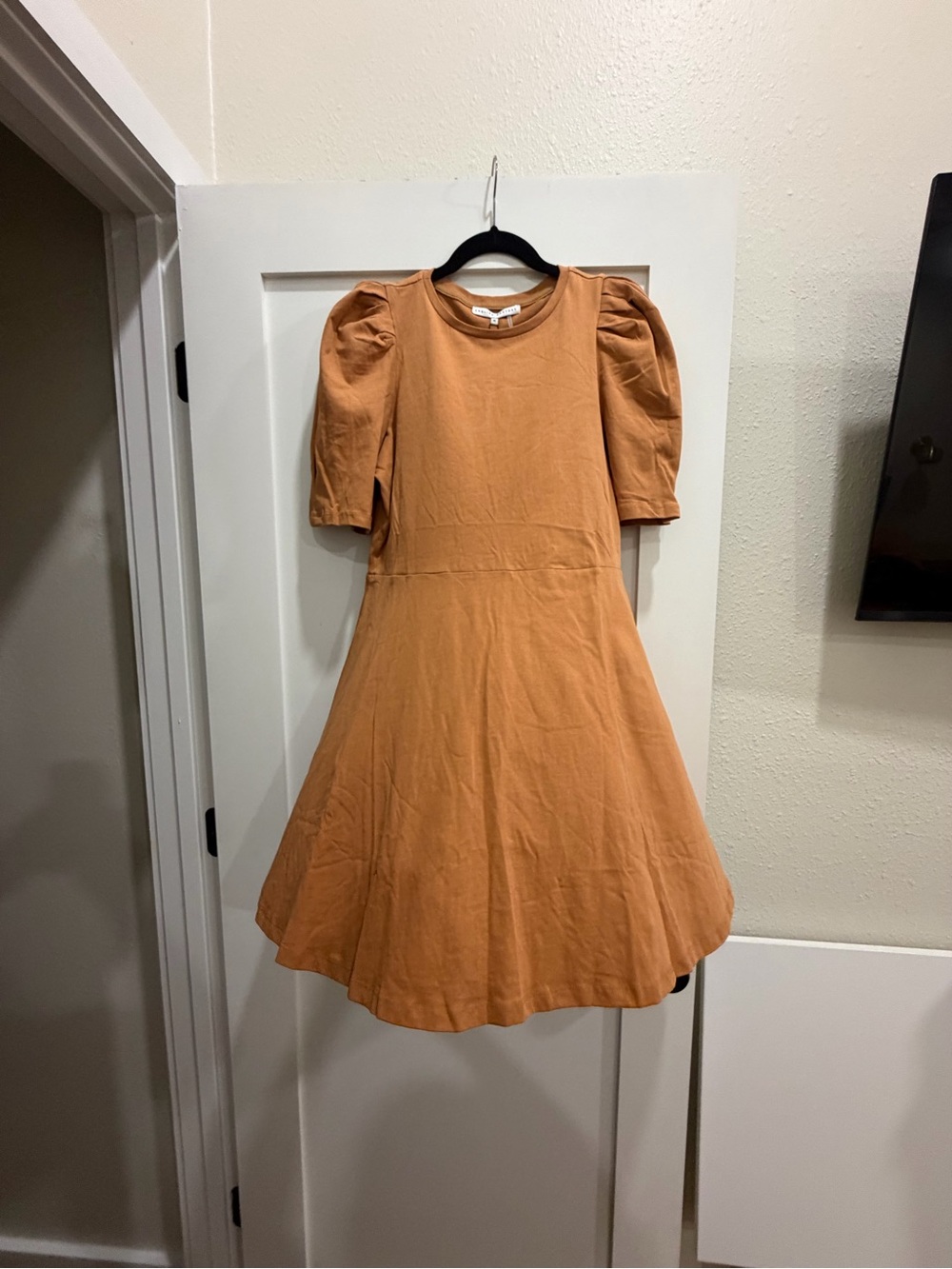 English Factory Puff Sleeve Swing Dress - Rust
